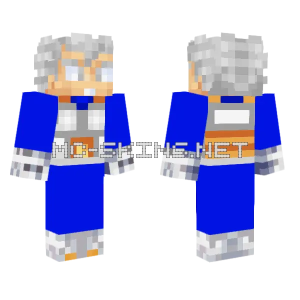 Vegeta Ultra Instinct Minecraft skin, front and back