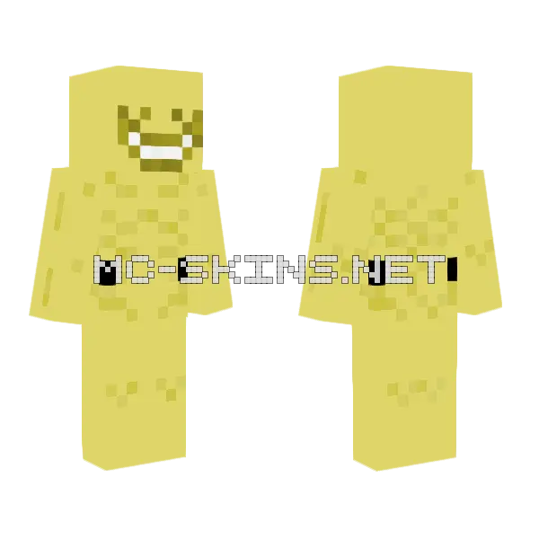 Verity Final Ver Minecraft skin, front and back