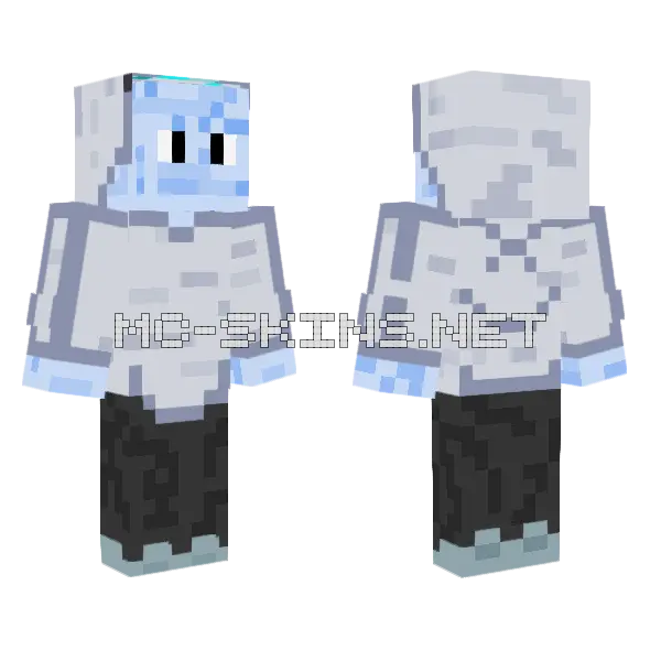 Vex Nivexete 2 2 Minecraft skin, front and back