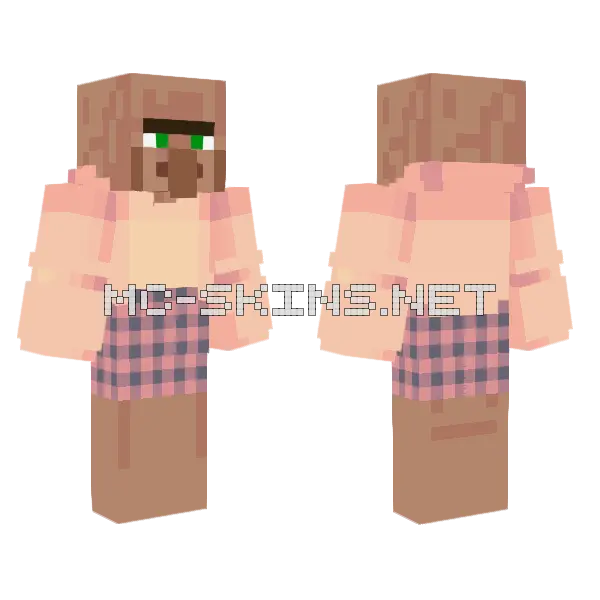 Villager Sunset School Minecraft skin, front and back