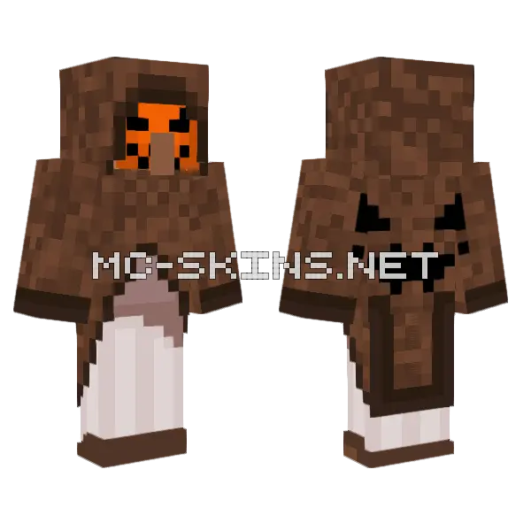 Villager With Pumpkin Minecraft skin, front and back