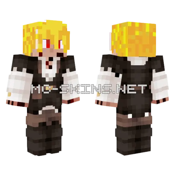 Vinpras123 Minecraft skin, front and back
