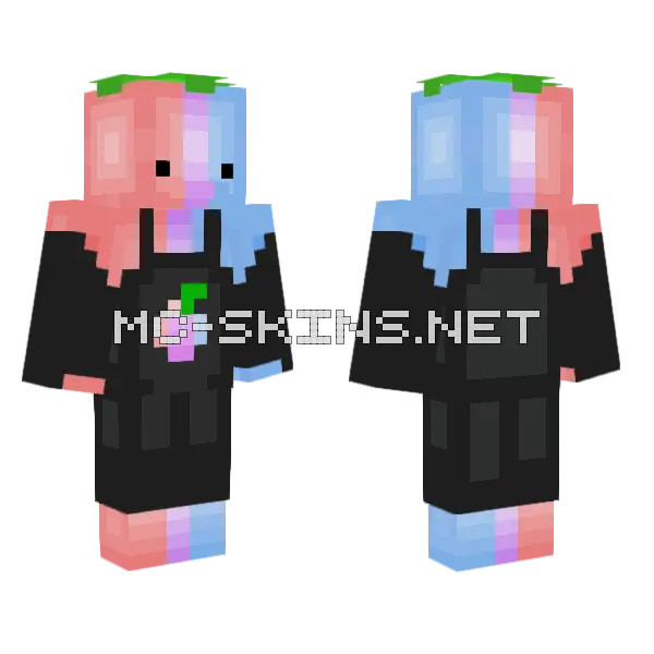 Vip Skin Minecraft skin, front and back