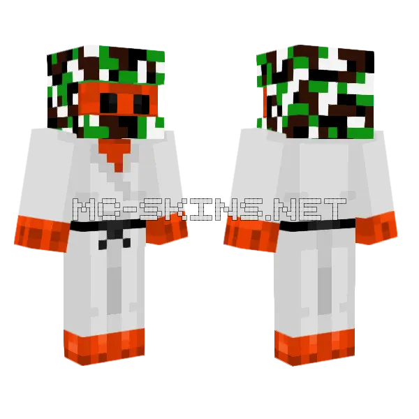 Vyllp In Gi Minecraft skin, front and back
