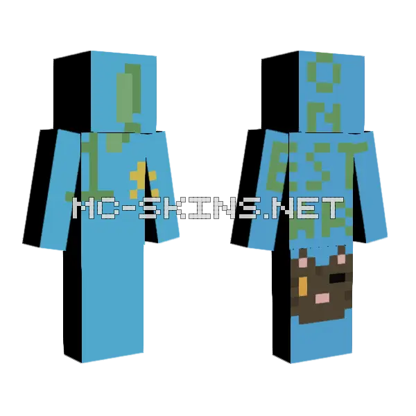 Warrior Cat Guessed Minecraft skin, front and back