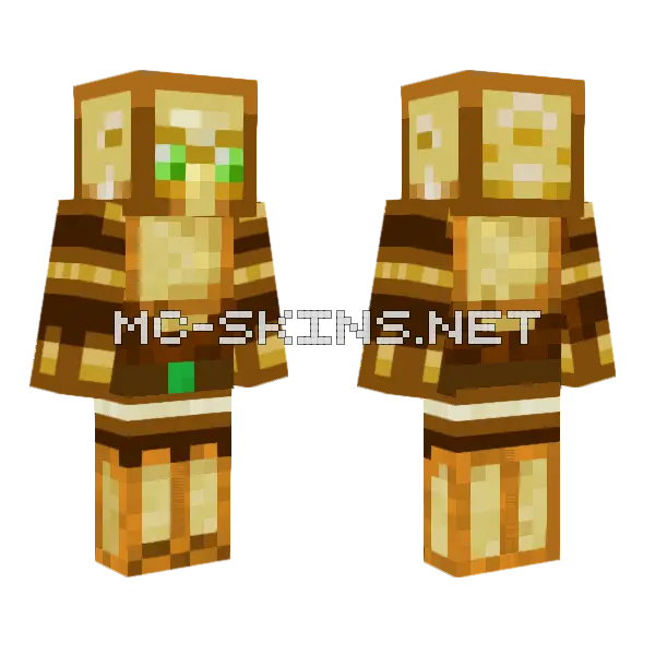 Warrior Of Undying Minecraft skin, front and back