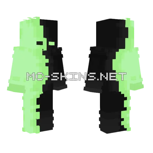 Waview Party Skin Minecraft skin, front and back