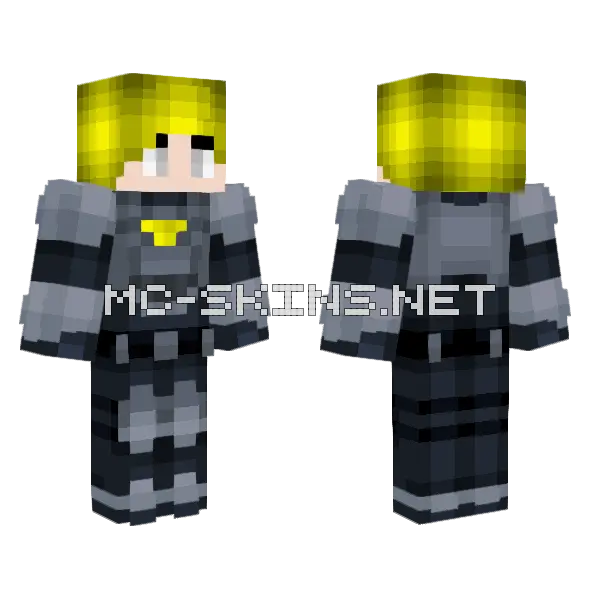 Wayne Minecraft skin, front and back