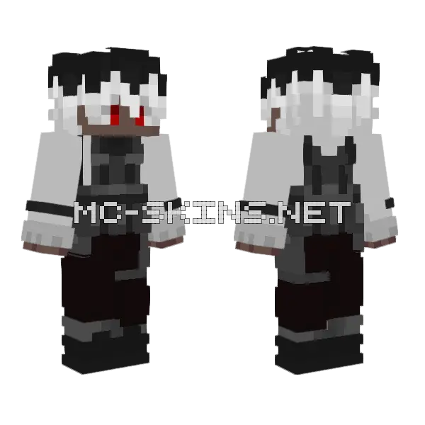 Wdada Minecraft skin, front and back
