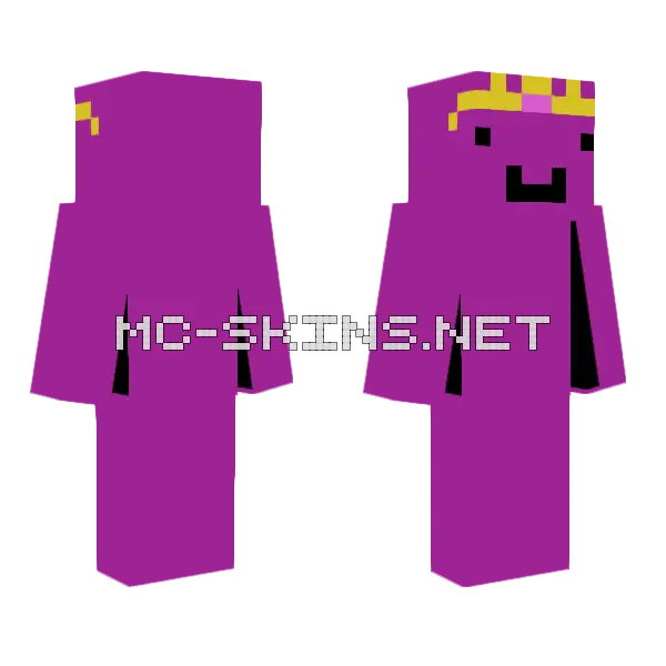 Wemmbu Boy Minecraft skin, front and back