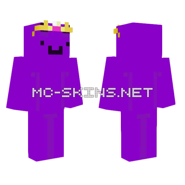 Wemmbu Ce Minecraft skin, front and back