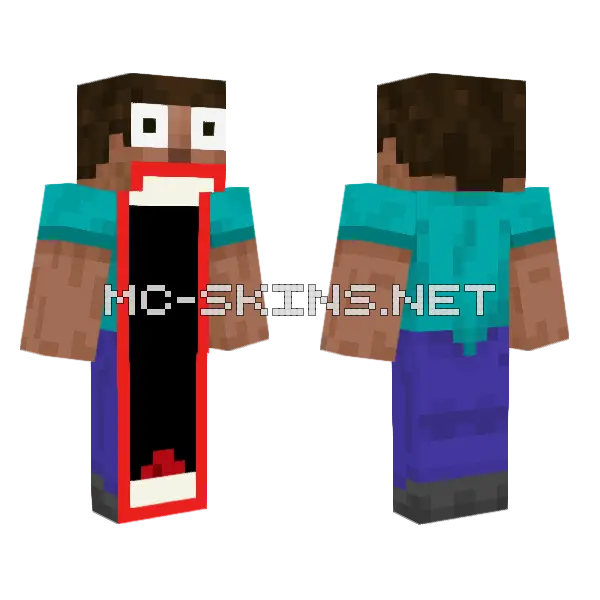 What Minecraft skin, front and back