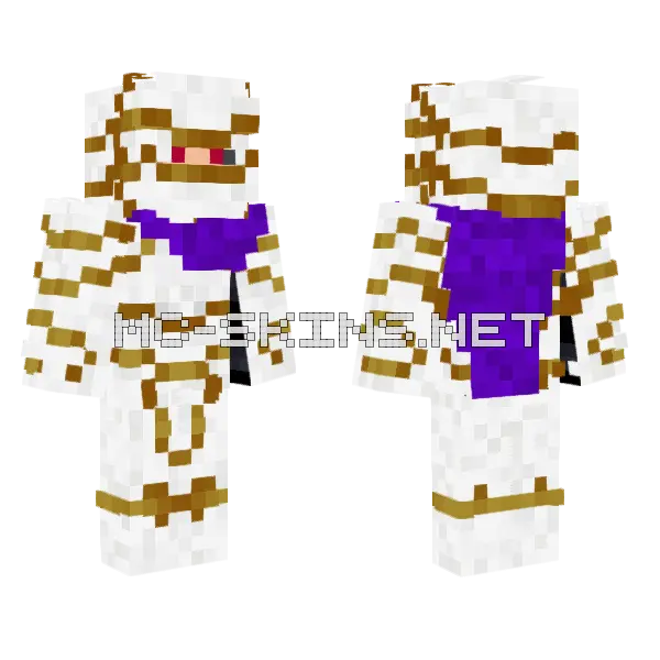 White Royal Guard Minecraft skin, front and back