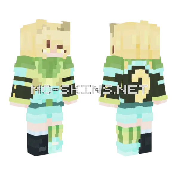 Who Let The Kitty Out Minecraft skin, front and back