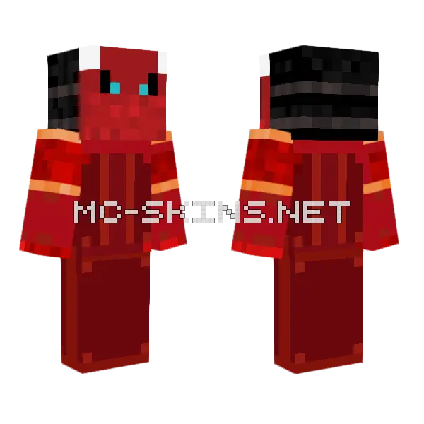 Wither Ninja Minecraft skin, front and back
