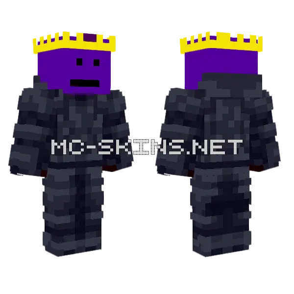 Wyv The Dark Lord Minecraft skin, front and back