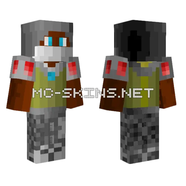 xxseflonxx s assassin nr66270 Minecraft skin, front and back