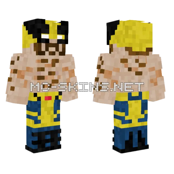 Yellow and Blue Brawler, front and back