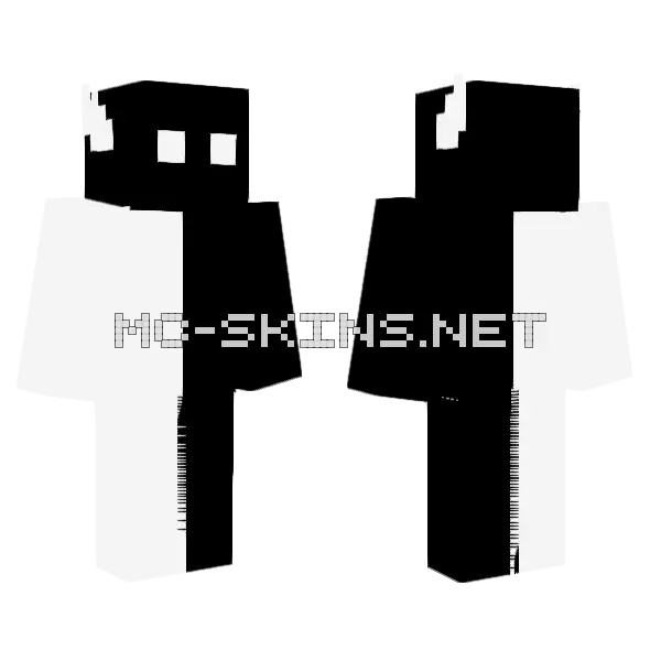Yin Yang Ethan Minecraft skin, front and back