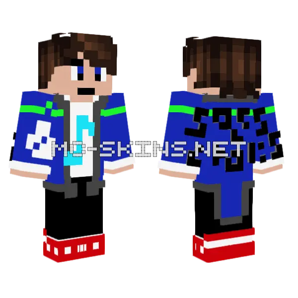 Your Fav Music Artist Minecraft skin, front and back