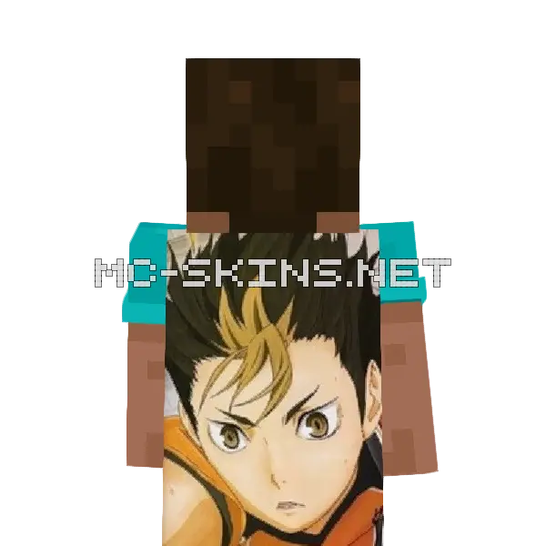 Yuu Nishinoya cape, outside and lining